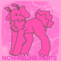 (m) Non feline parts