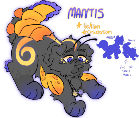 Mantis