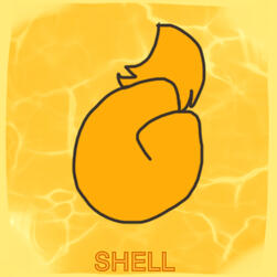 (r) Shell